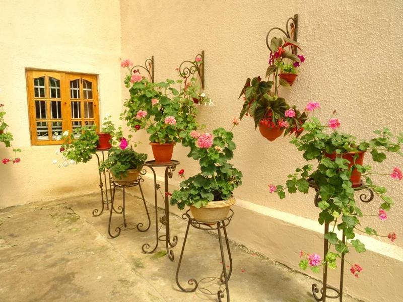 Guesthouse On Zheleznodorozhnaya 苏呼米 外观 照片